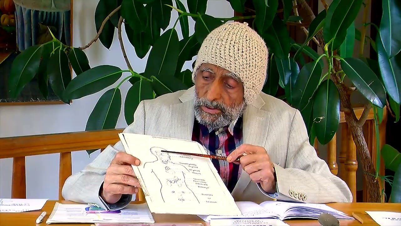 Исцеление ЖКТ — кадр 2 из 3